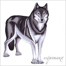Wolf EP cover art